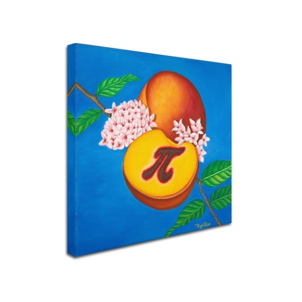 Ryan Rice Fine Art 'Peach Pi' Canvas Art,35x35